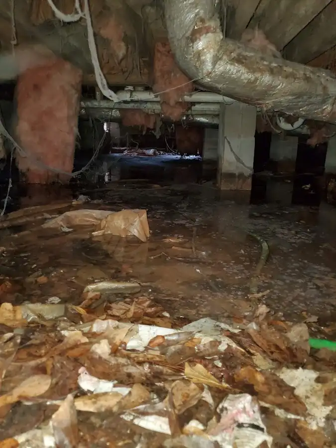 Crawl space flood assessment for Commercial Water Damage Restoration in Waycross
